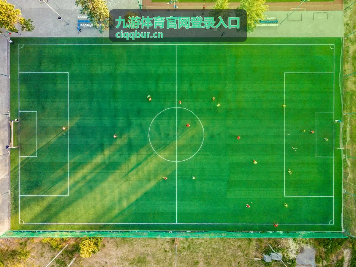 九游体育官网登录入口登录后状态核对示意封面